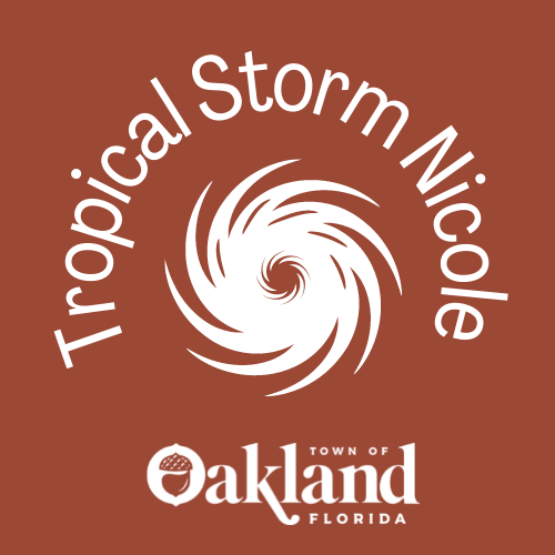 Tropical Storm Nicole