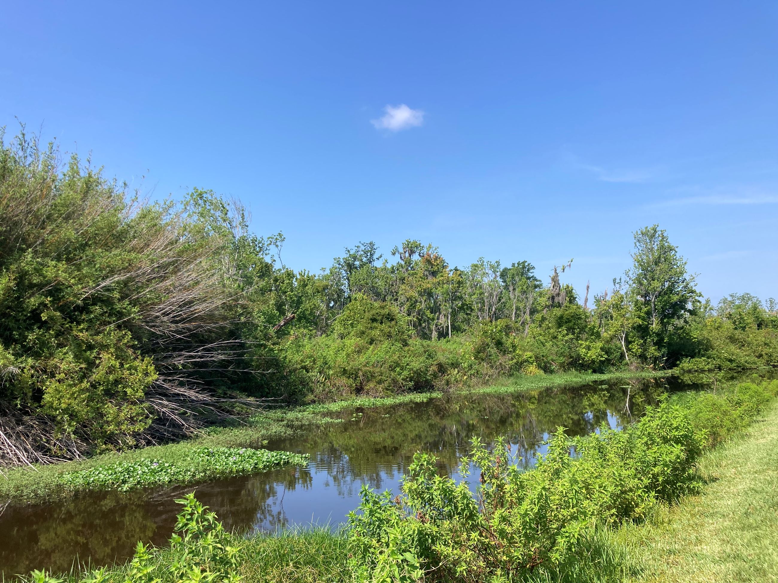 Town of Oakland Canal