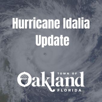 Hurricane Idalia Image