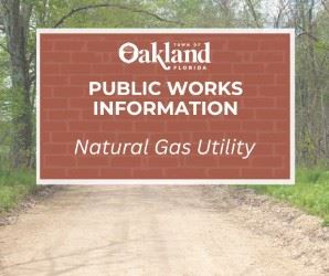 thumbnail_Consumer Tips News Flash