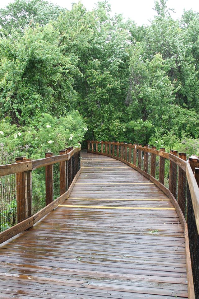 Oakland Nature Preserve Boardwalk